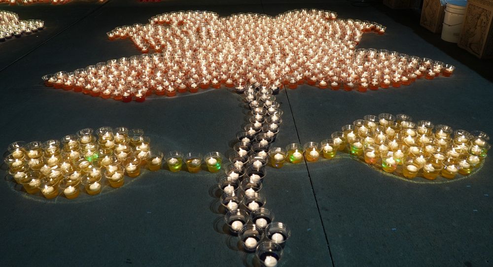 A lotus of lit diyas seen from above